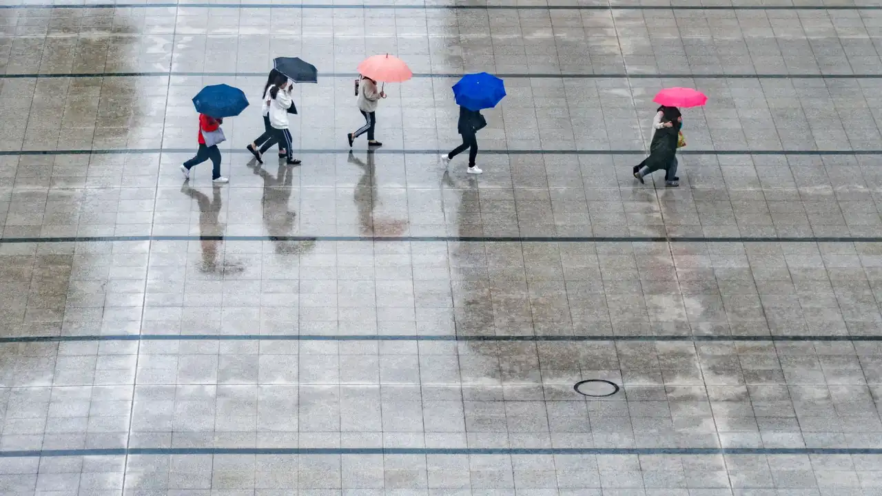 爱液视频.com截图3